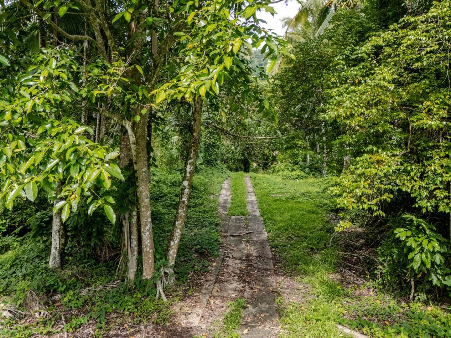 Additional image 7 of 388 Finlayvale Road, Finlayvale QLD 4873