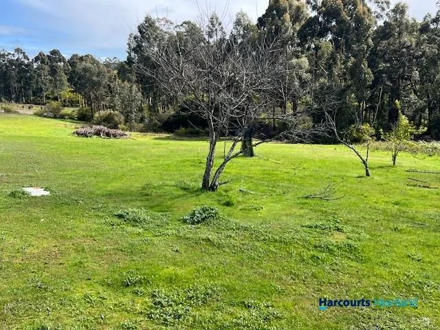 Additional image 23 of 46 Buckley Road, Carlotta WA 6275