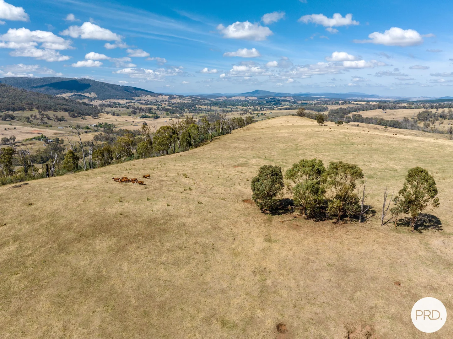 Additional image 62 of 1100 Batlow Road, Tumbarumba NSW 2653