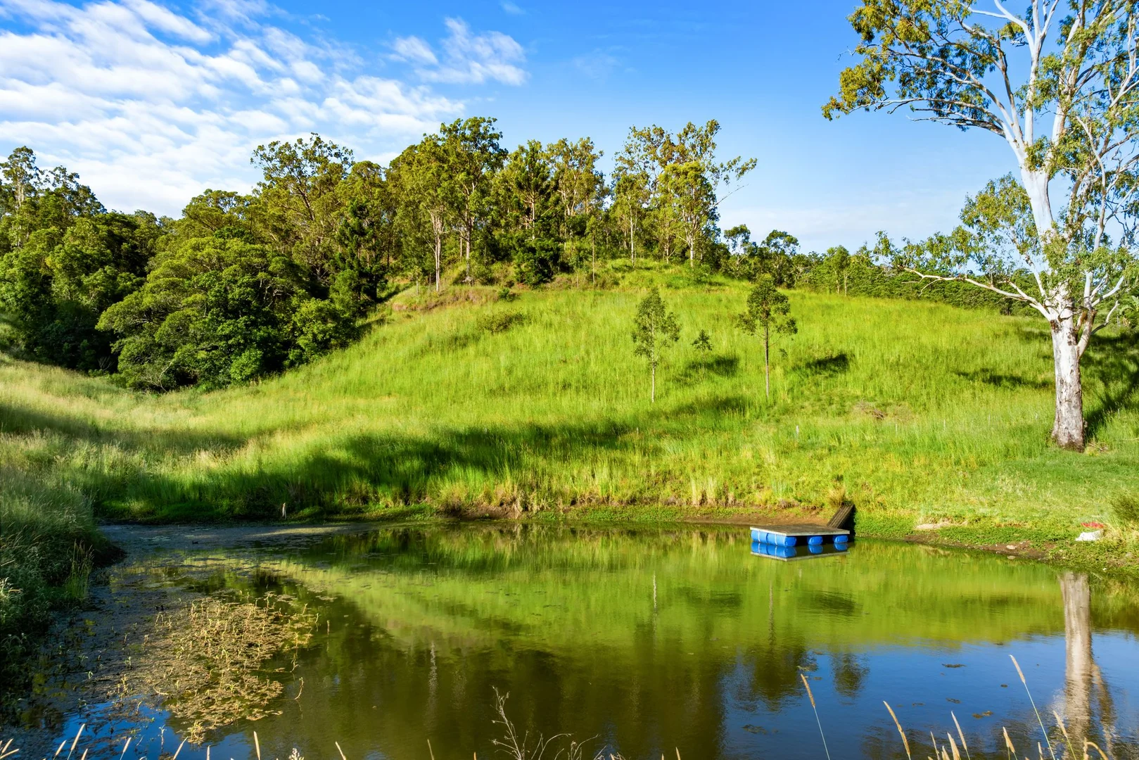 Additional image 37 of 370 Old Cob O Corn Road, Kyogle NSW 2474