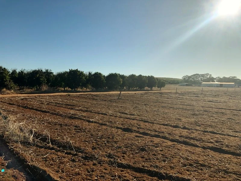 Additional image 10 of Midlands Road, Dongara WA 6525