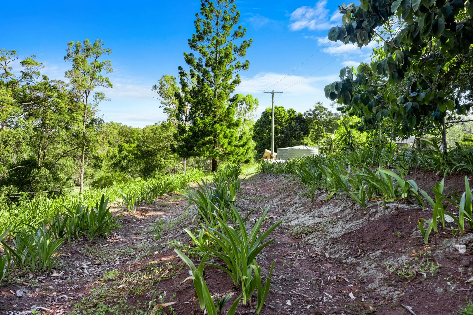 Additional image 31 of 370 Old Cob O Corn Road, Kyogle NSW 2474