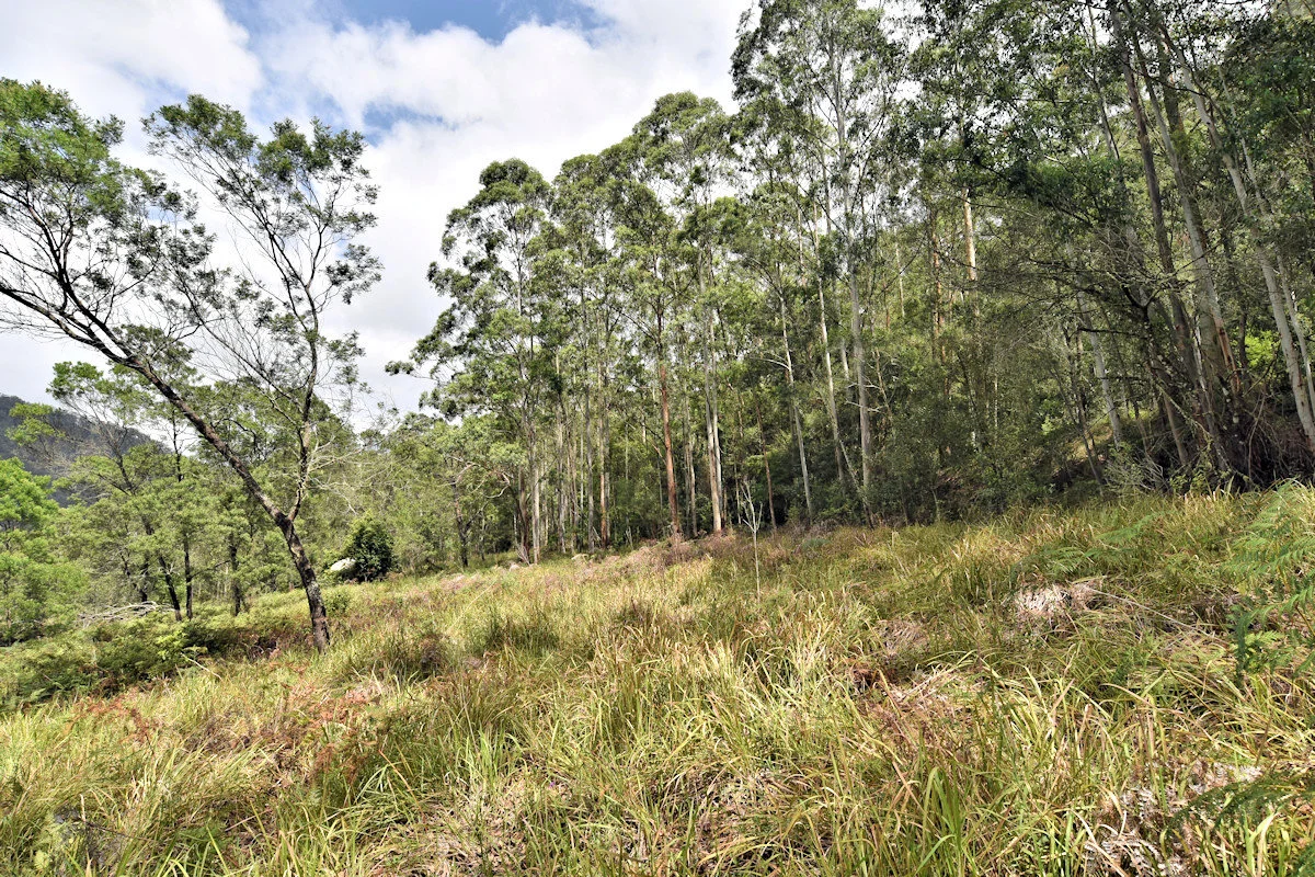 Additional image 10 of 1670 Watagan Creek Road, Watagan NSW 2325