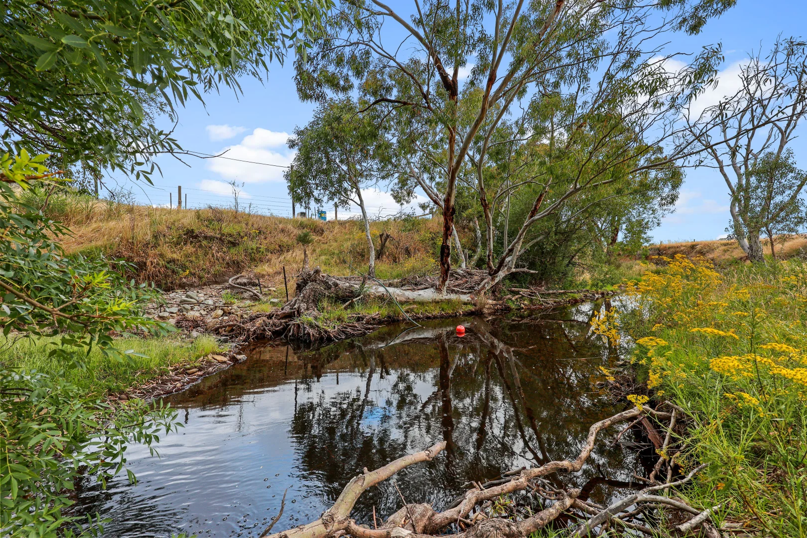 Additional image 31 of 203 Nettle Hill Road, Hindmarsh Valley SA 5211