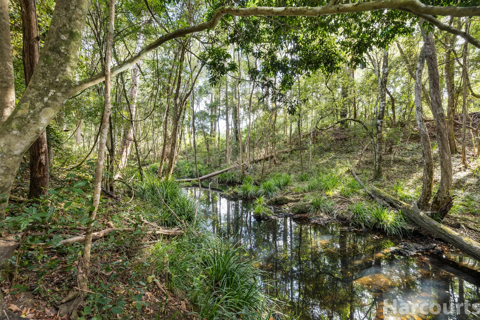 Additional image 20 of 600 Smiths Creek Road, Kundabung NSW 2441