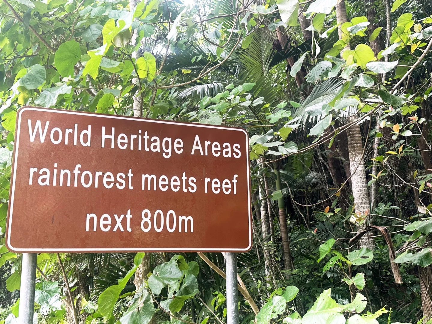 Additional image 7 of 21 Pioneer Street, Bingil Bay QLD 4852