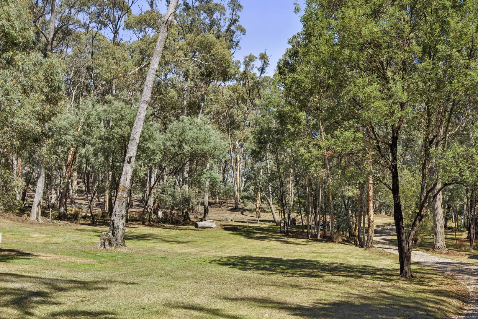 Additional image 26 of 76 Woolnoughs Road, Porcupine Ridge VIC 3461