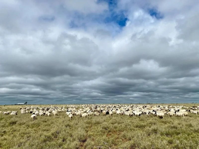 Additional image 20 of 1970 Saltern Creek Road, Barcaldine QLD 4725