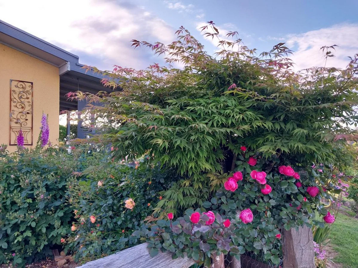 Additional image 38 of 9 Box Close, Bega NSW 2550