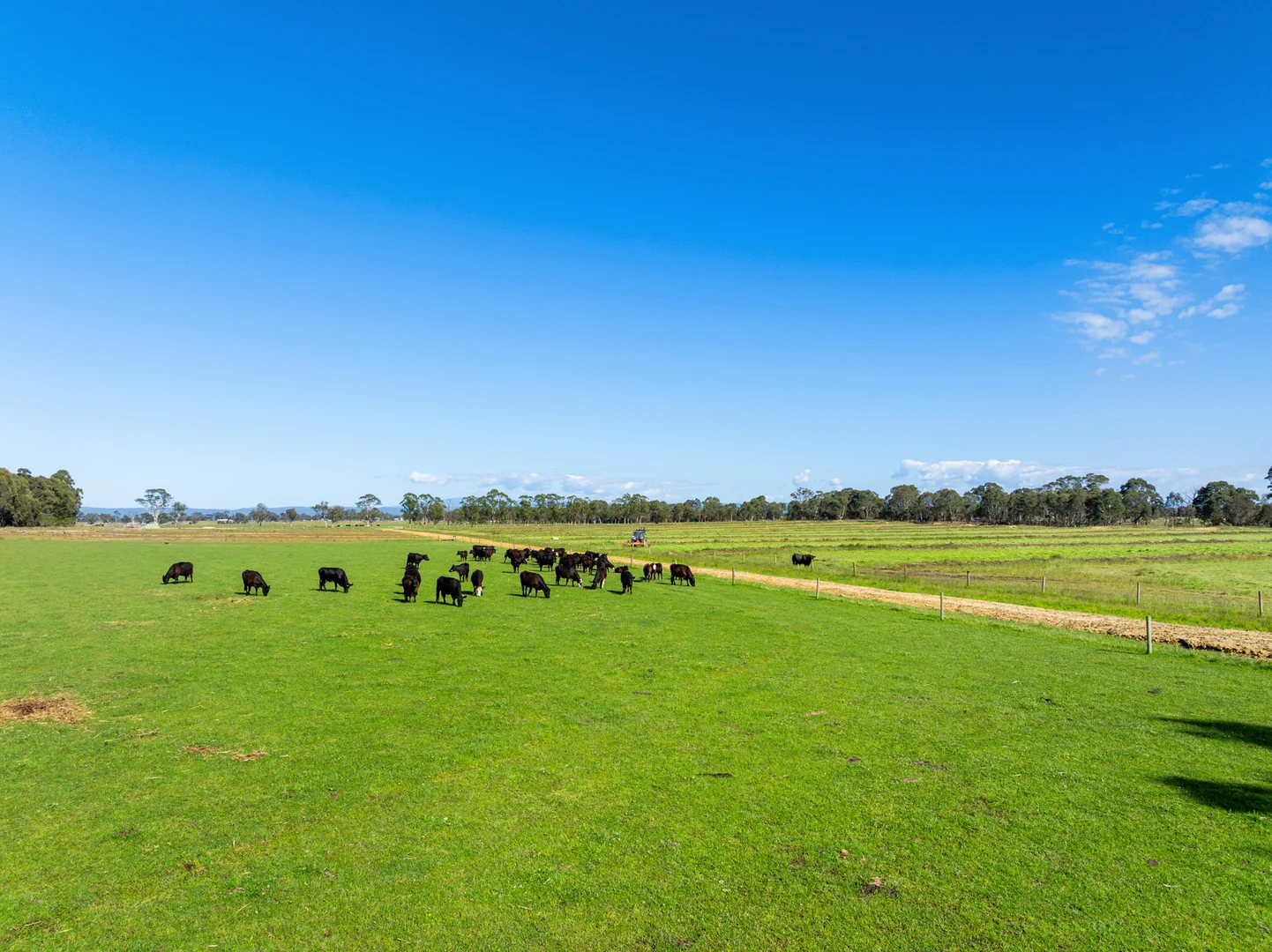 Additional image 7 of 4254 Traralgon Maffra Road, Heyfield VIC 3858
