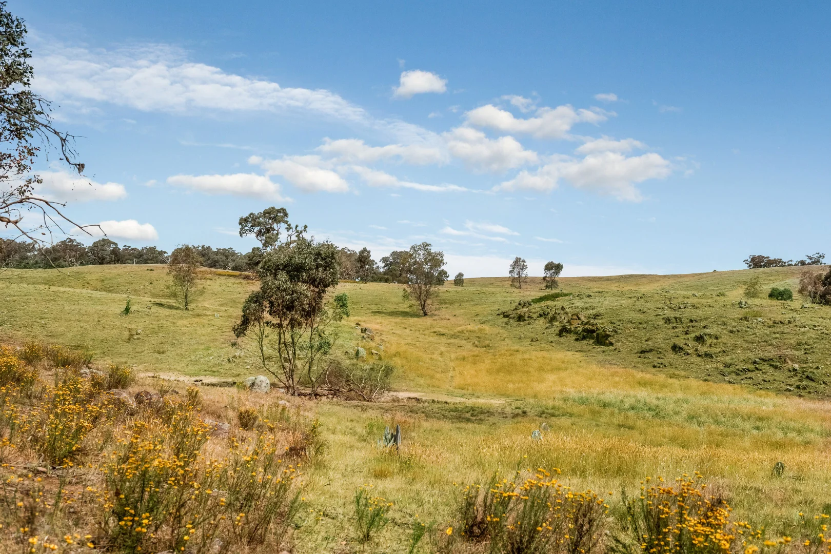 Additional image 20 of 503 Mia Mia-Derrinal Road, Heathcote VIC 3523