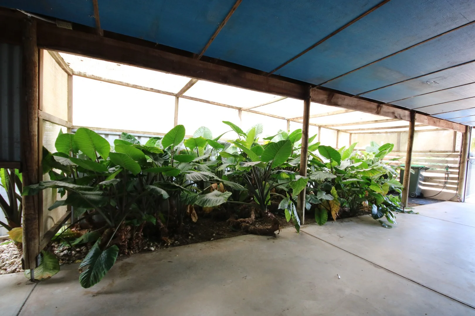 Additional image 16 of 84 Dudley Street, Rochester VIC 3561