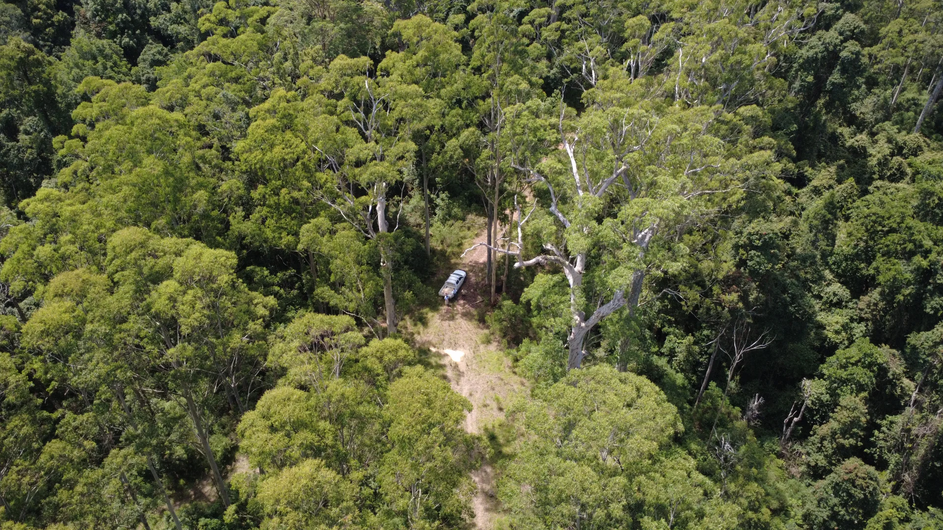 Additional image 5 of Baxters Ridge Road, Gloucester NSW 2422