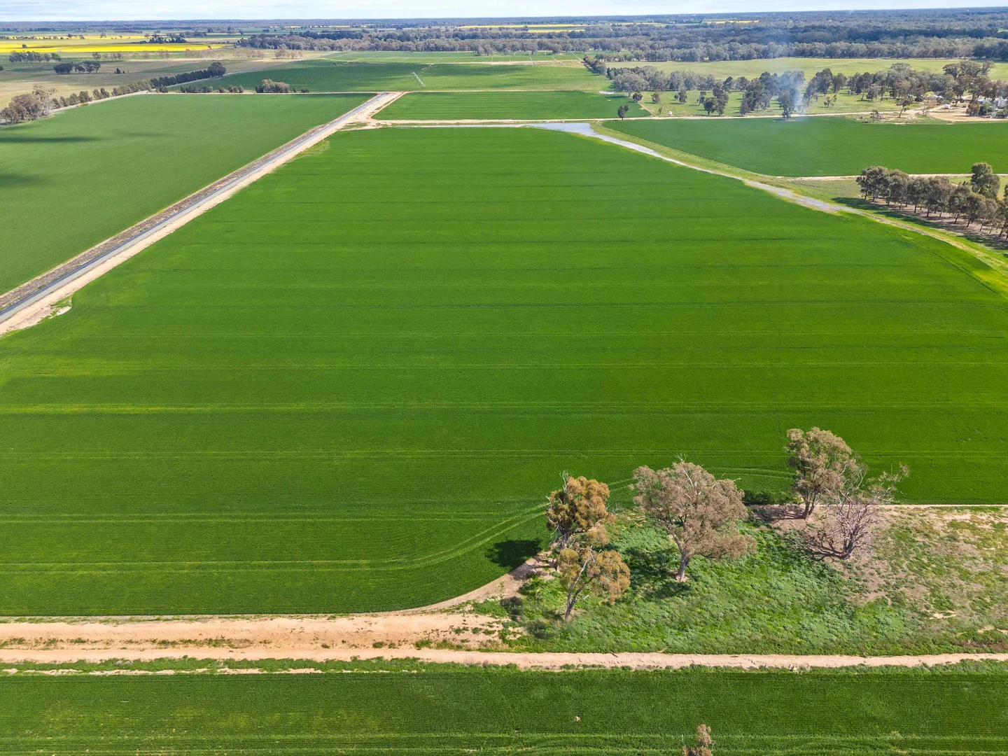 Additional image 7 of Pinewood, 870 Walshs Bridge Road, Kaarimba VIC 3635