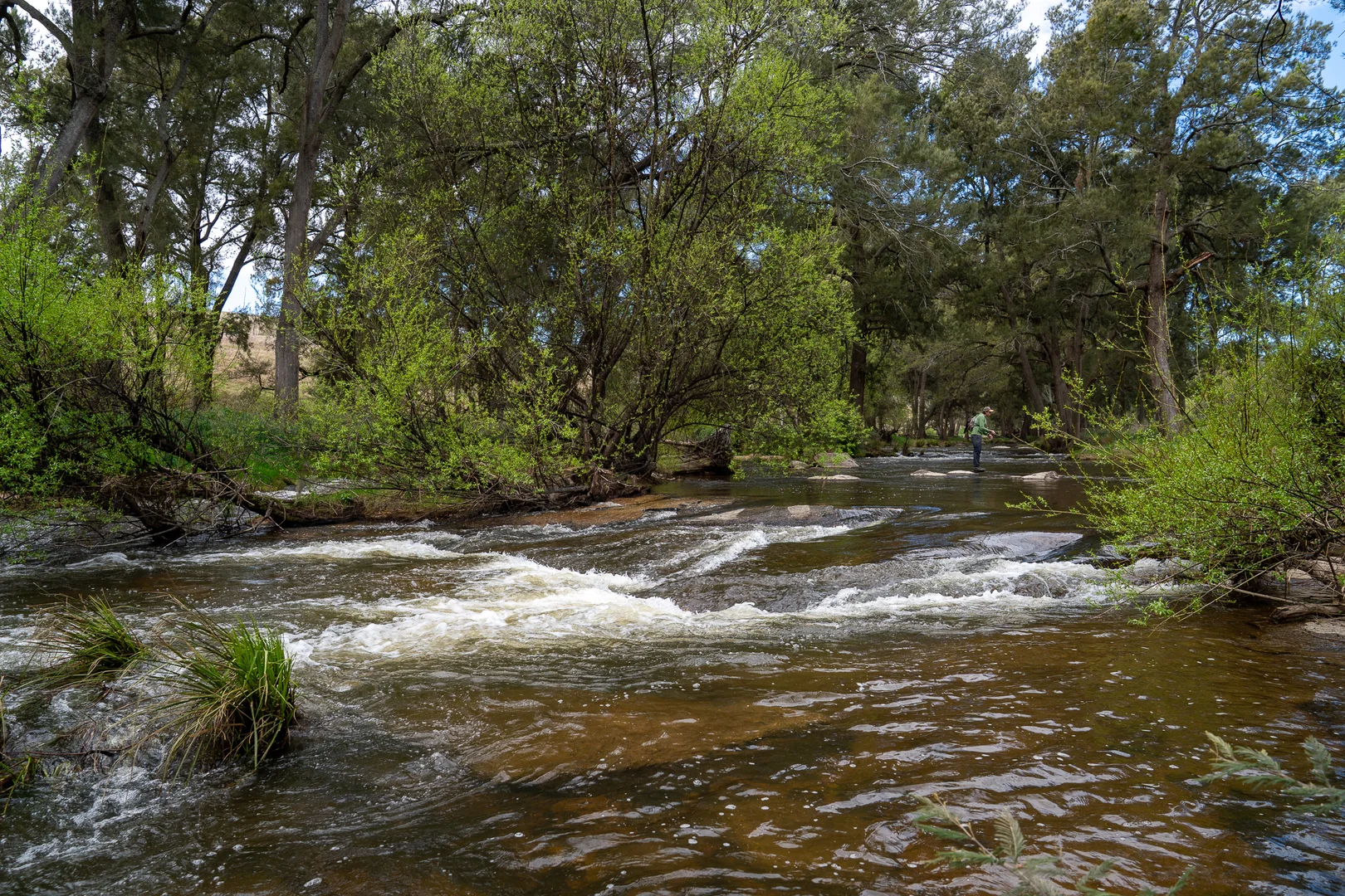 Additional image 2 of 1712 Hazelgrove Road, Tarana NSW 2787