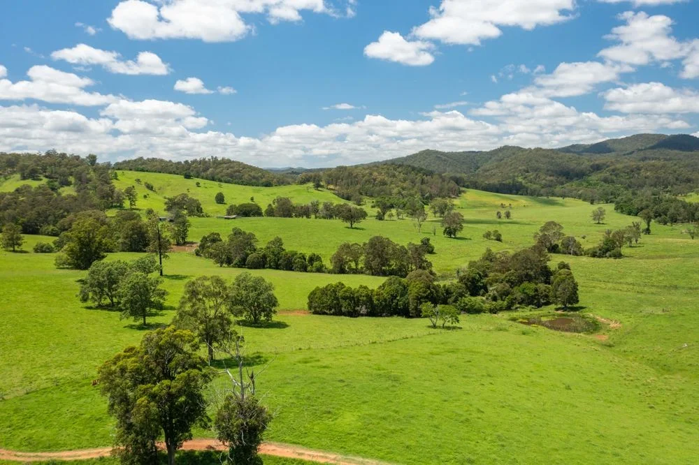 Additional image 4 of 310 Yessabah Road, Yessabah NSW 2440