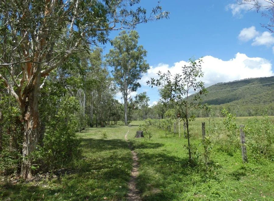 Additional image 27 of 277 Bushlands Road, Bororen QLD 4678