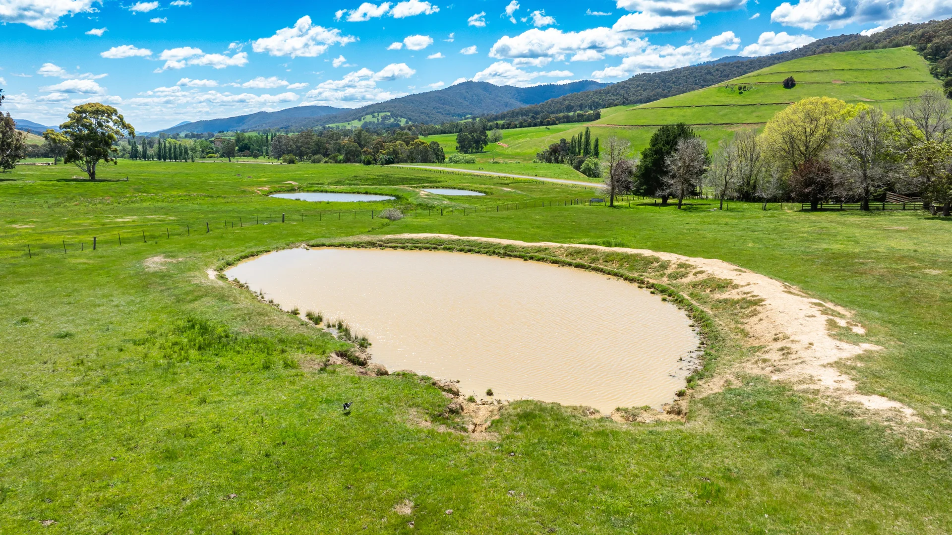 Additional image 9 of 'Grassmere'/2485 Tallangatta Creek Rd, Tallangatta Valley VIC 3701
