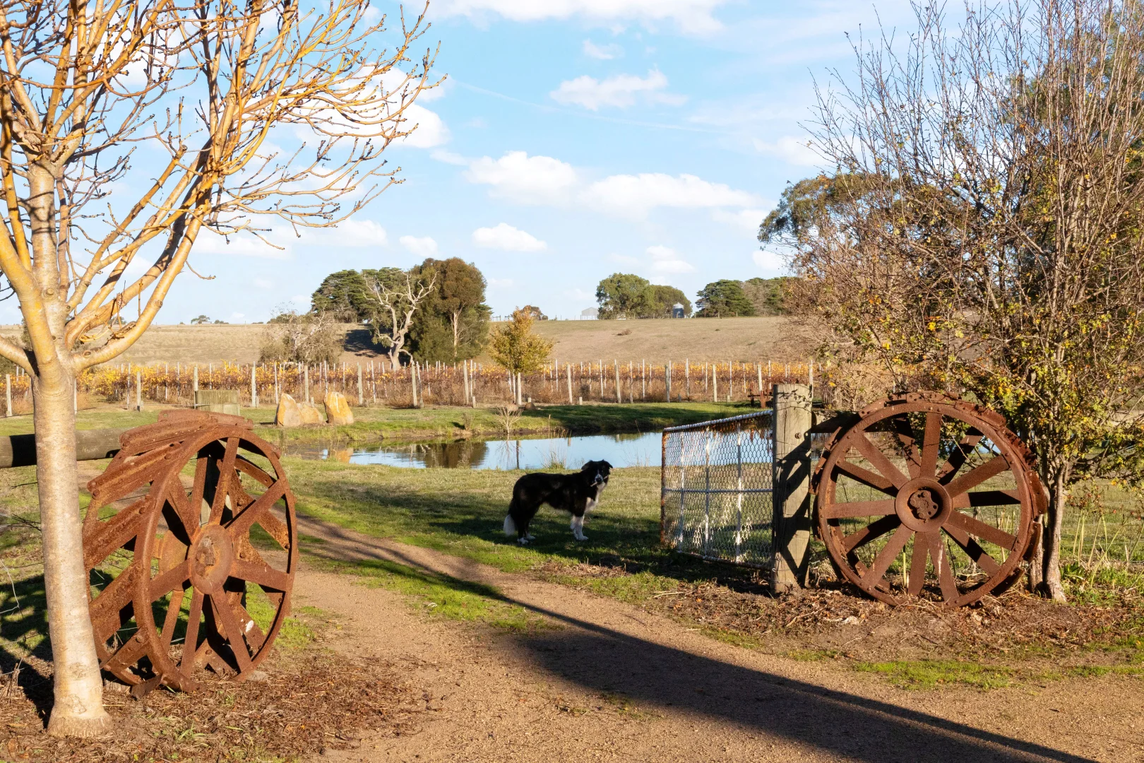 Additional image 46 of 136 Darlington-Carranballac Road, Darlington VIC 3271
