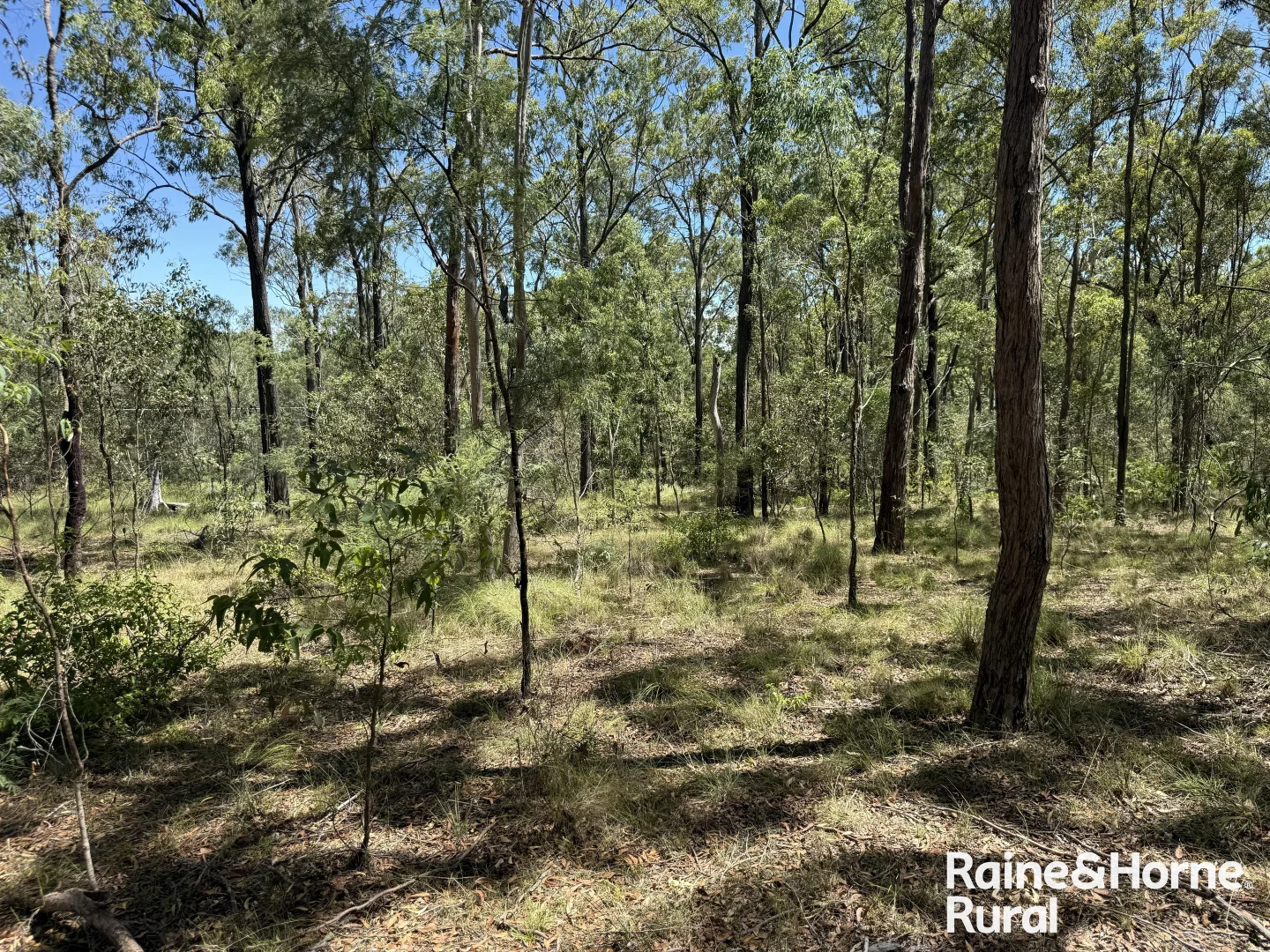 Additional image 10 of Lot 158 Brocklehurst road, Wattle Camp QLD 4615