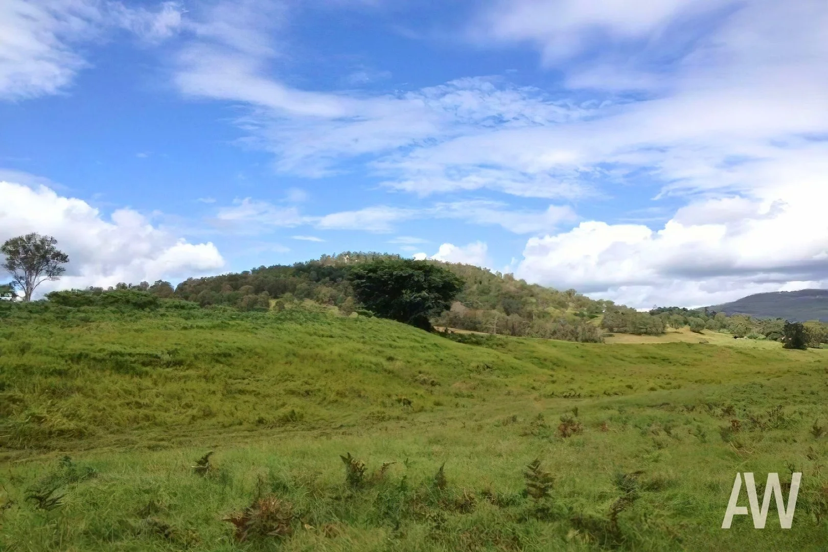 222-330 Boyle Road, Belli Park QLD 4562