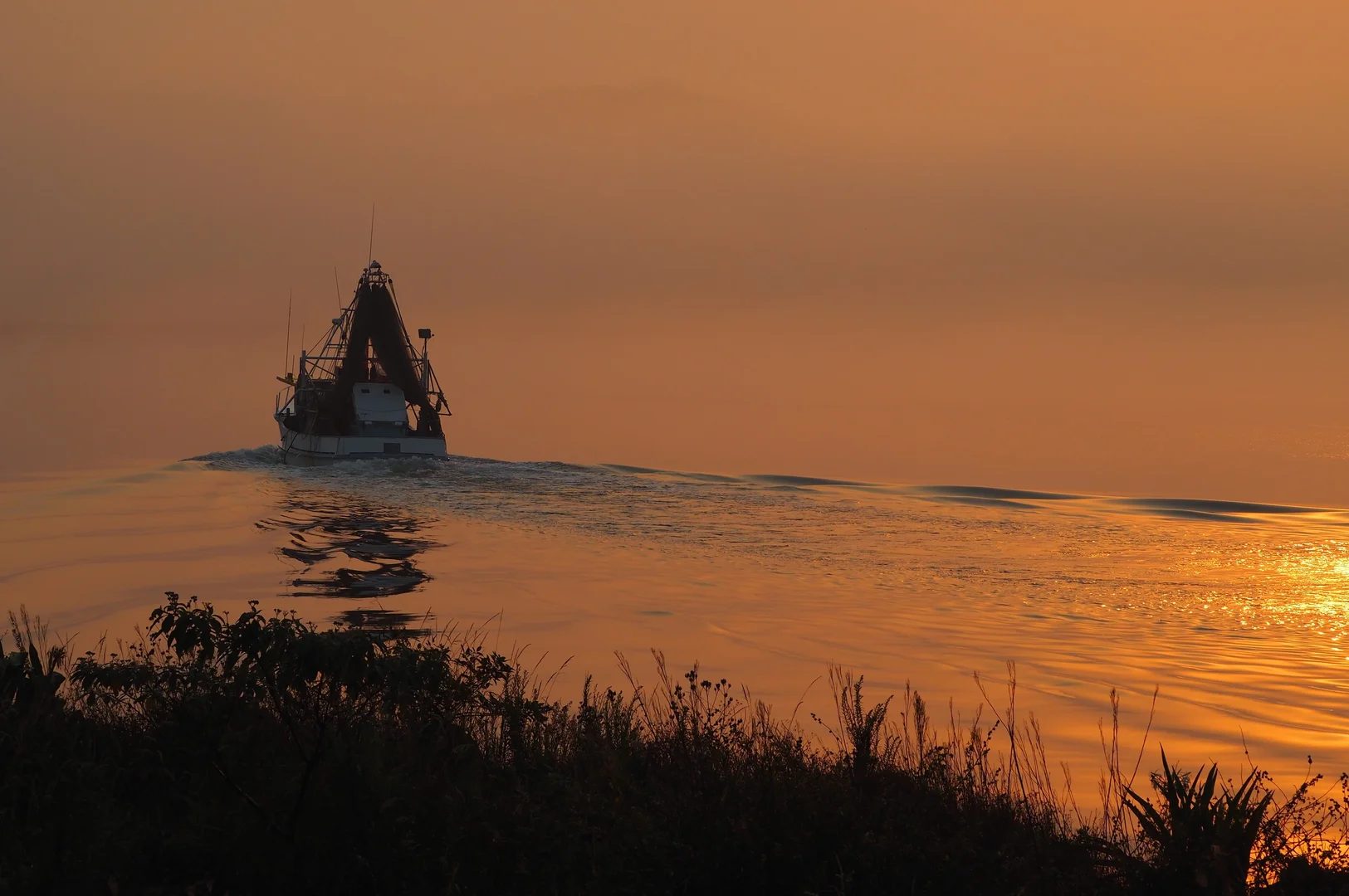 Additional image 22 of 157 Boyters Lane, Jerseyville NSW 2431