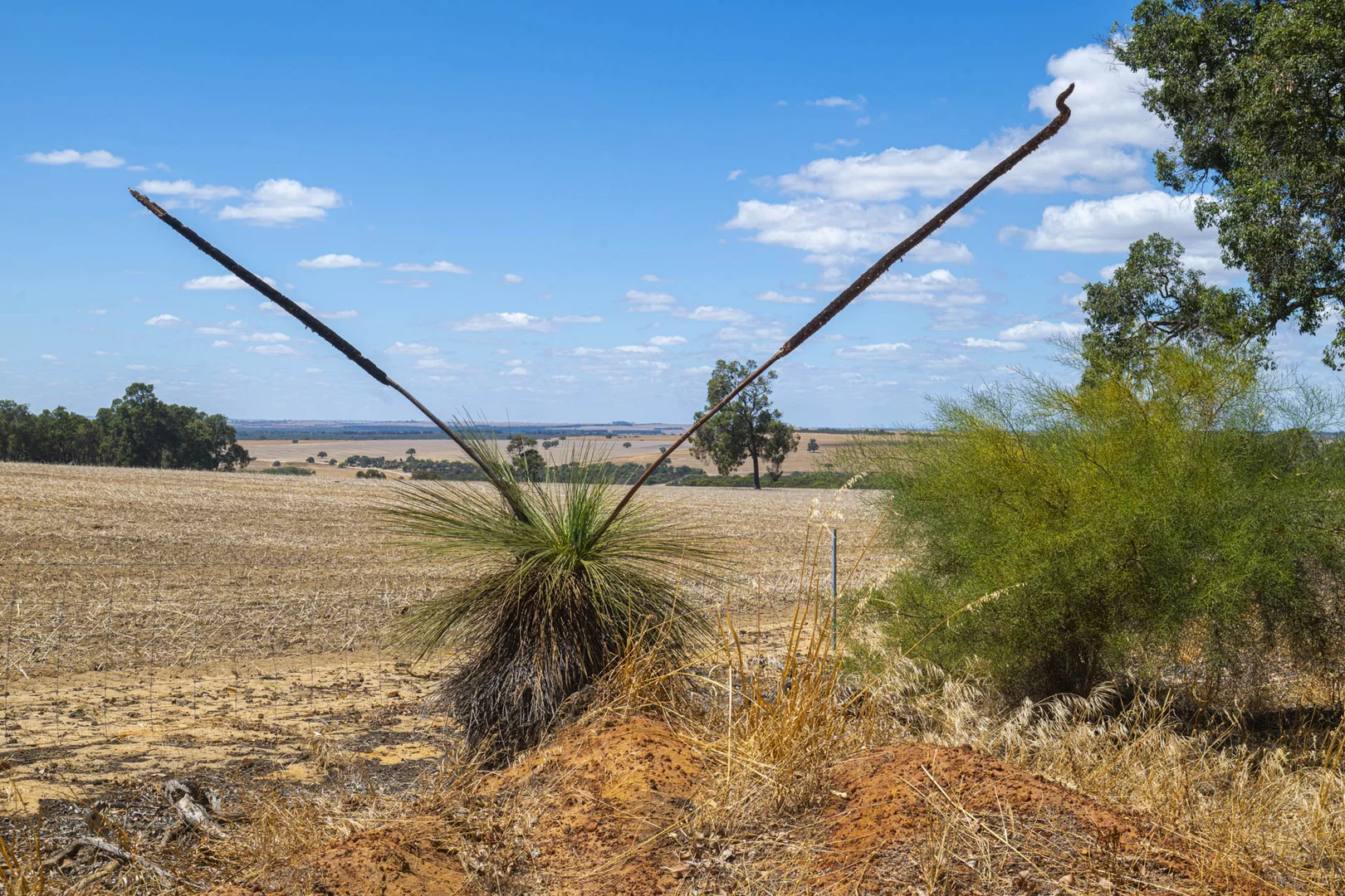 Additional image 5 of 1830 Rowes Road, Dandaragan WA 6507