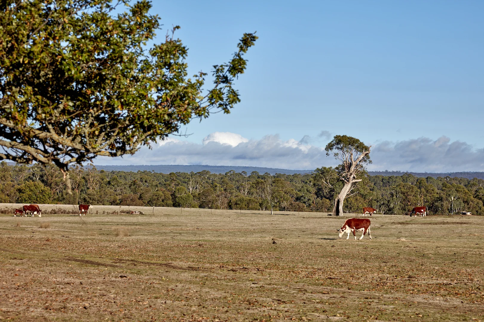Additional image 7 of 65 Lawson Road, Gisborne VIC 3437
