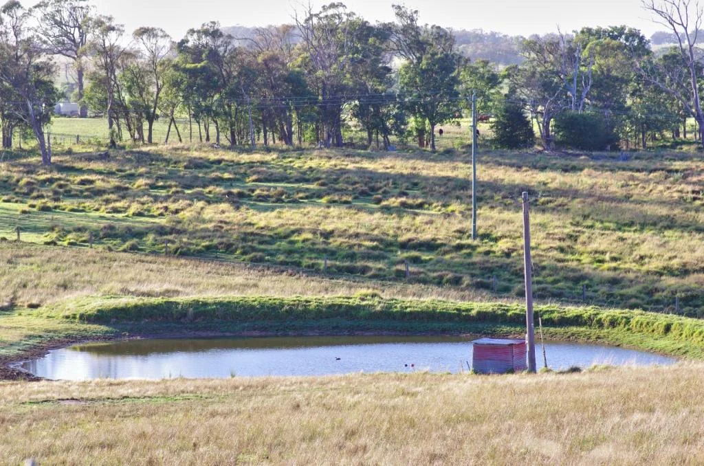 Additional image 3 of 116 Nutshell Road, Tenterfield NSW 2372