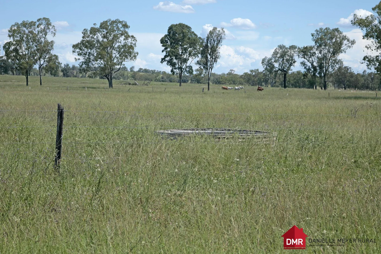 Additional image 6 of 95 Monto Mount Perry Road, Tellebang QLD 4630