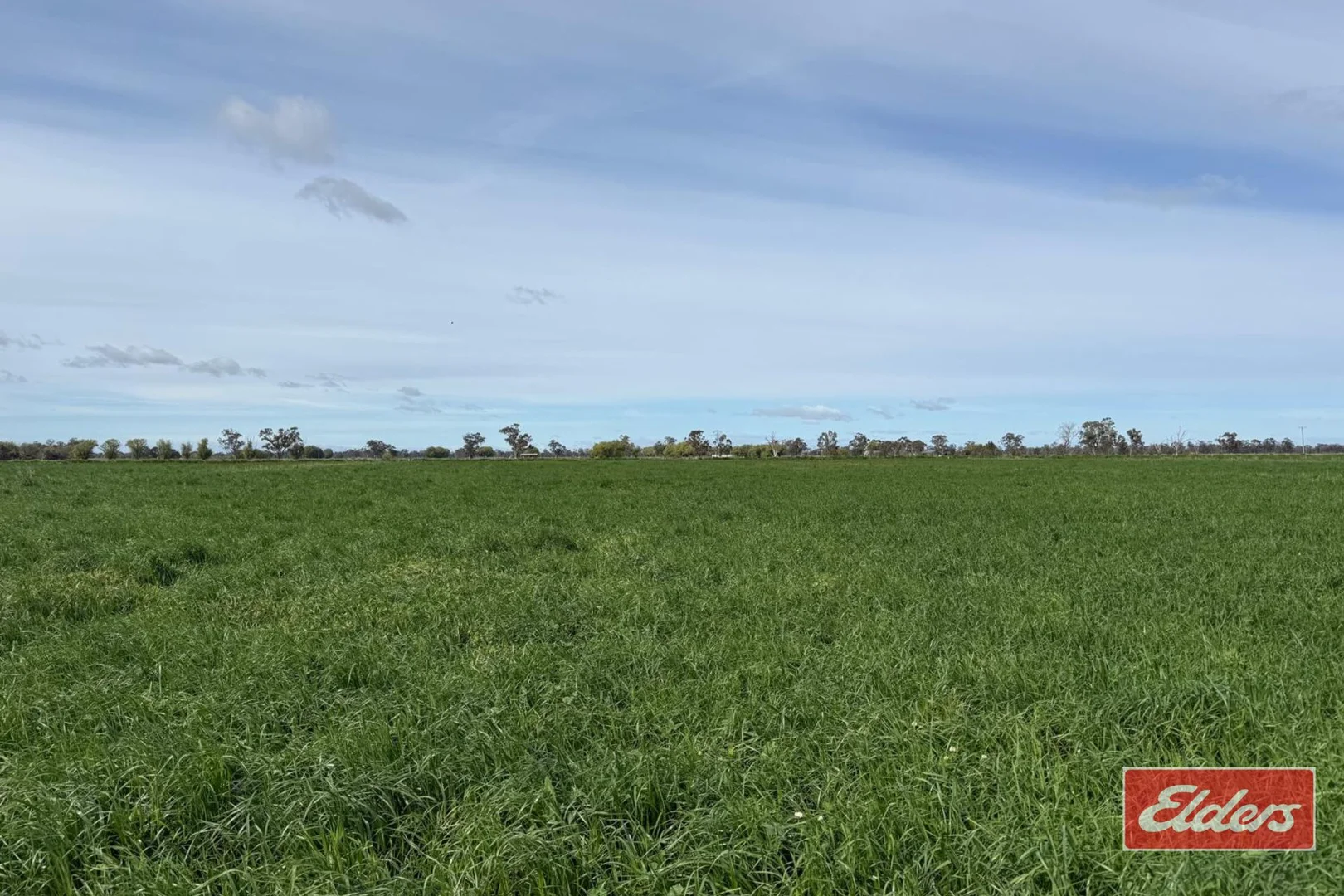 Additional image 41 of 490 Neal Road, Undera VIC 3629