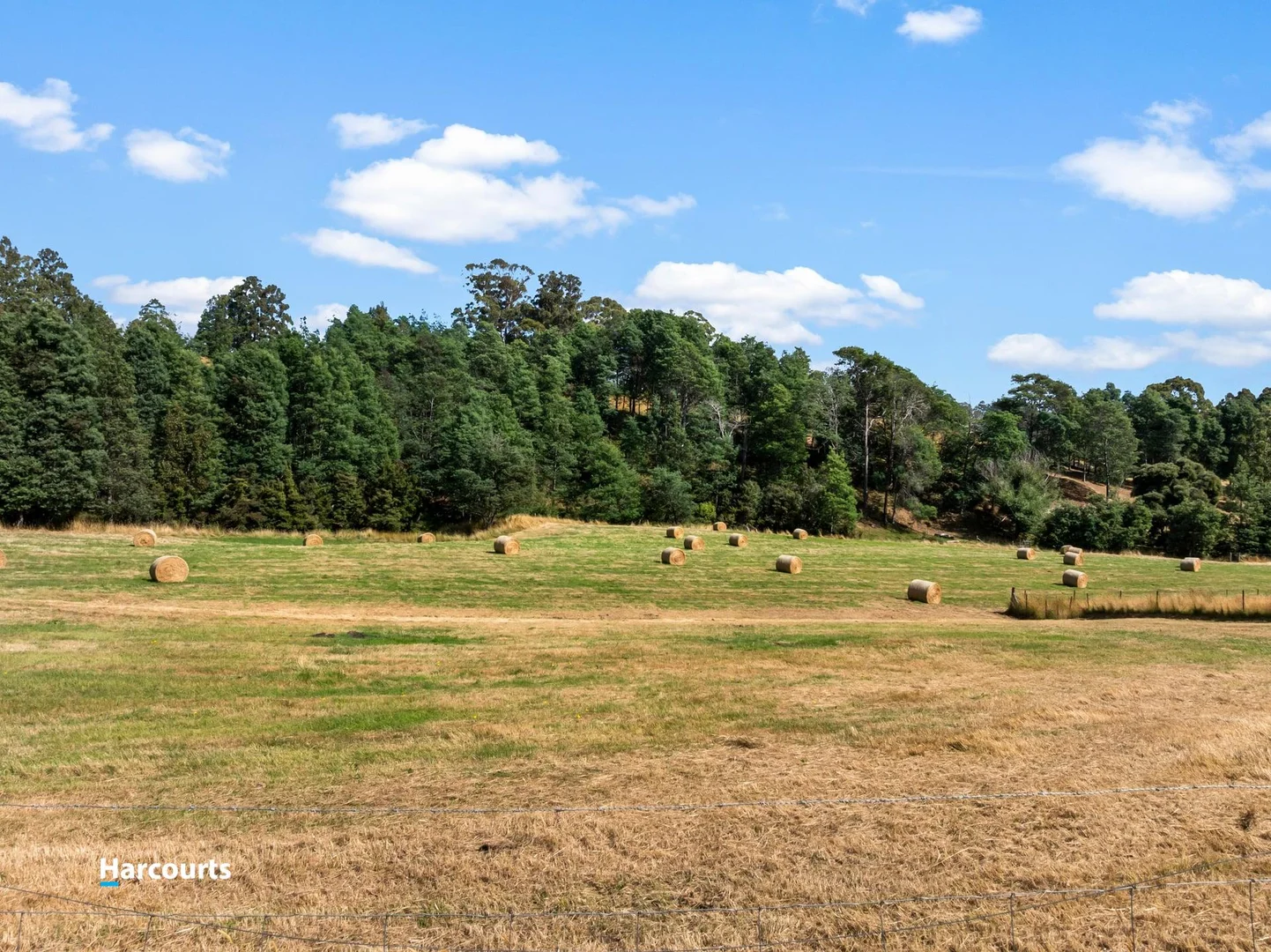 Additional image 15 of Lot 1 Rileys Creek Road, Geeveston TAS 7116