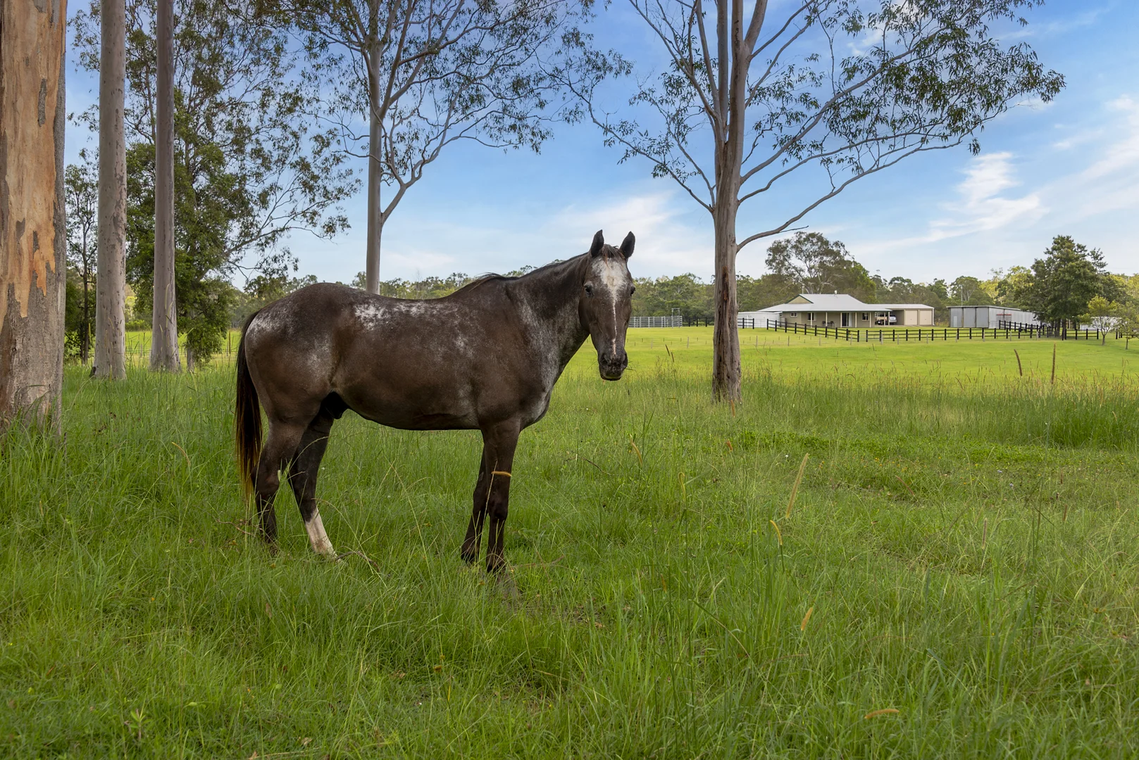 Additional image 22 of 240 Keefton Road, Woondum QLD 4570