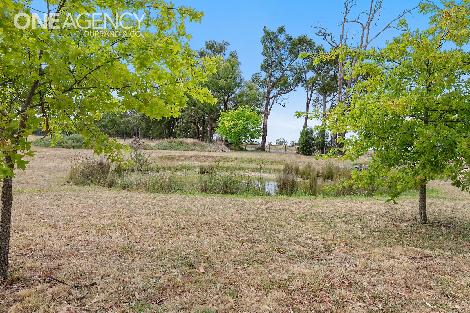 Additional image 33 of 1151 Yarragon Shady Creek Road, Shady Creek VIC 3821