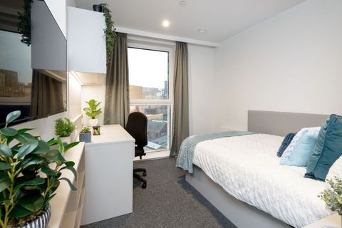 Tenter Street, Sheffield S1, Room to rent