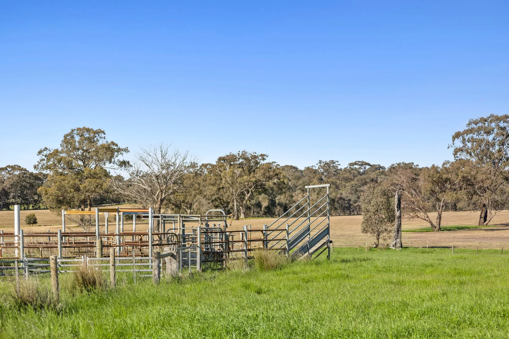 Additional image 7 of 189 Siddles Road, Redesdale VIC 3444