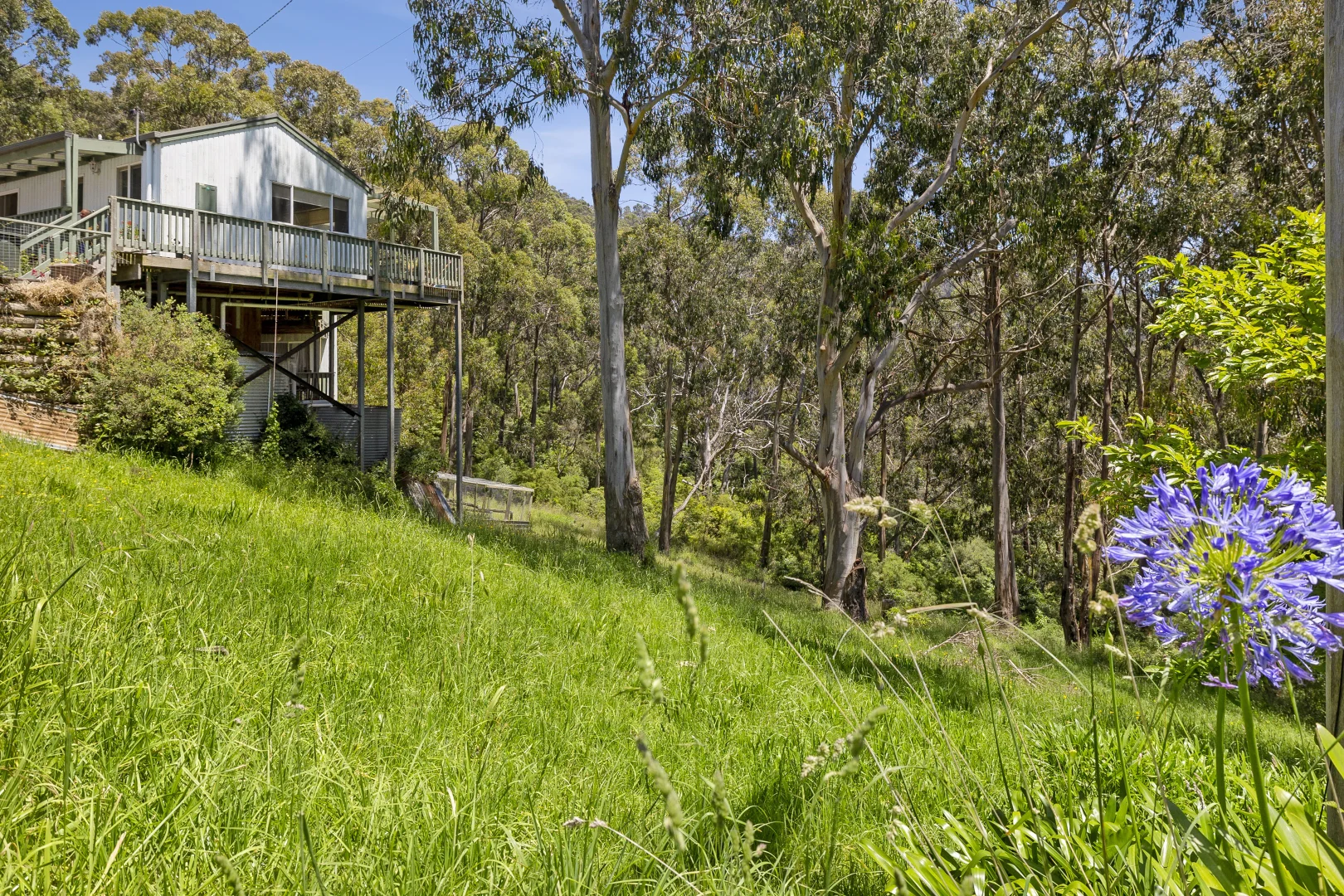 Additional image 4 of 19 McRae Road, Wye River VIC 3234
