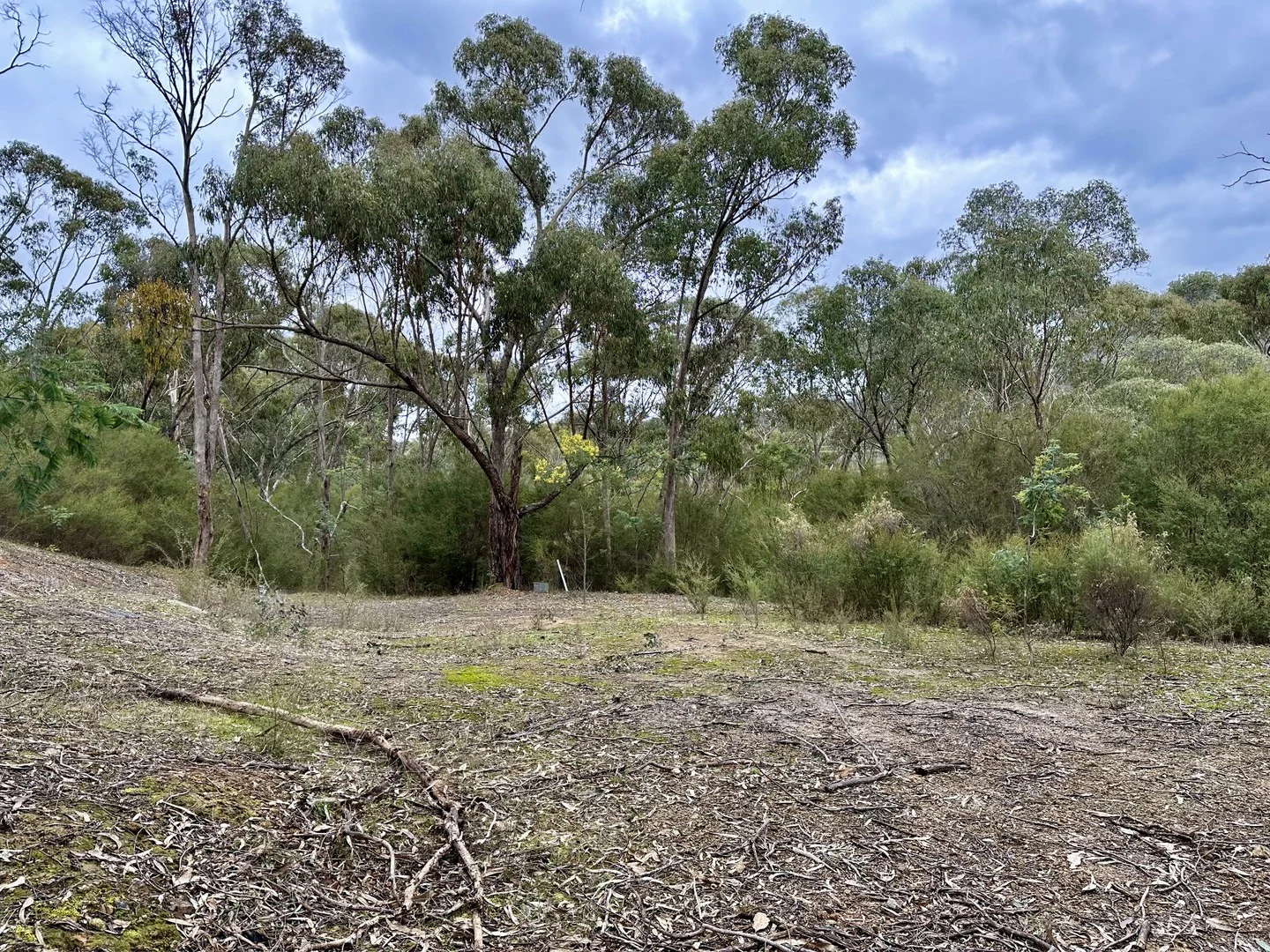 Additional image 6 of 52 Taylor Bay Road, Taylor Bay VIC 3713