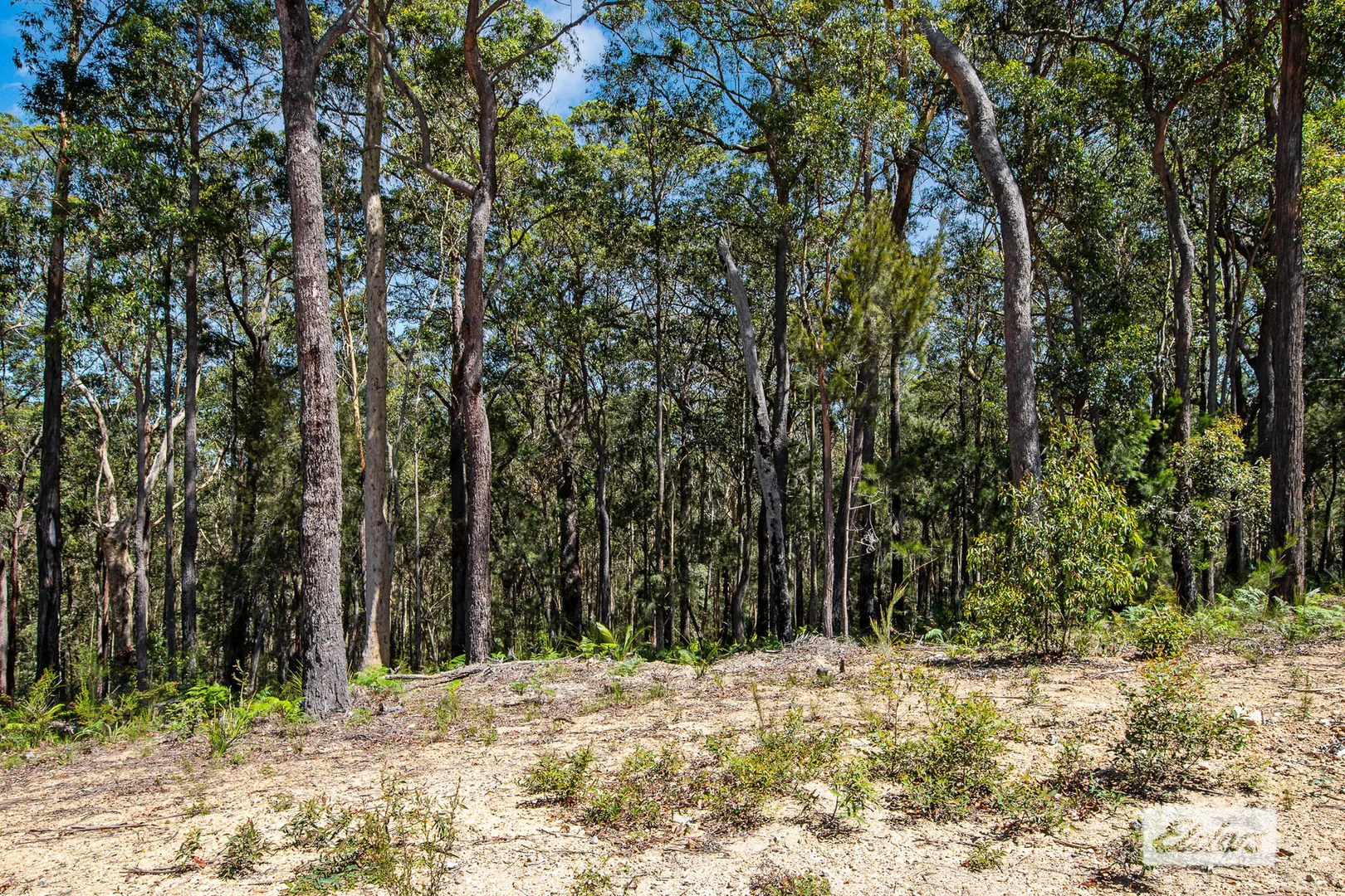 Additional image 8 of 32 Clydeview Drive, Long Beach NSW 2536