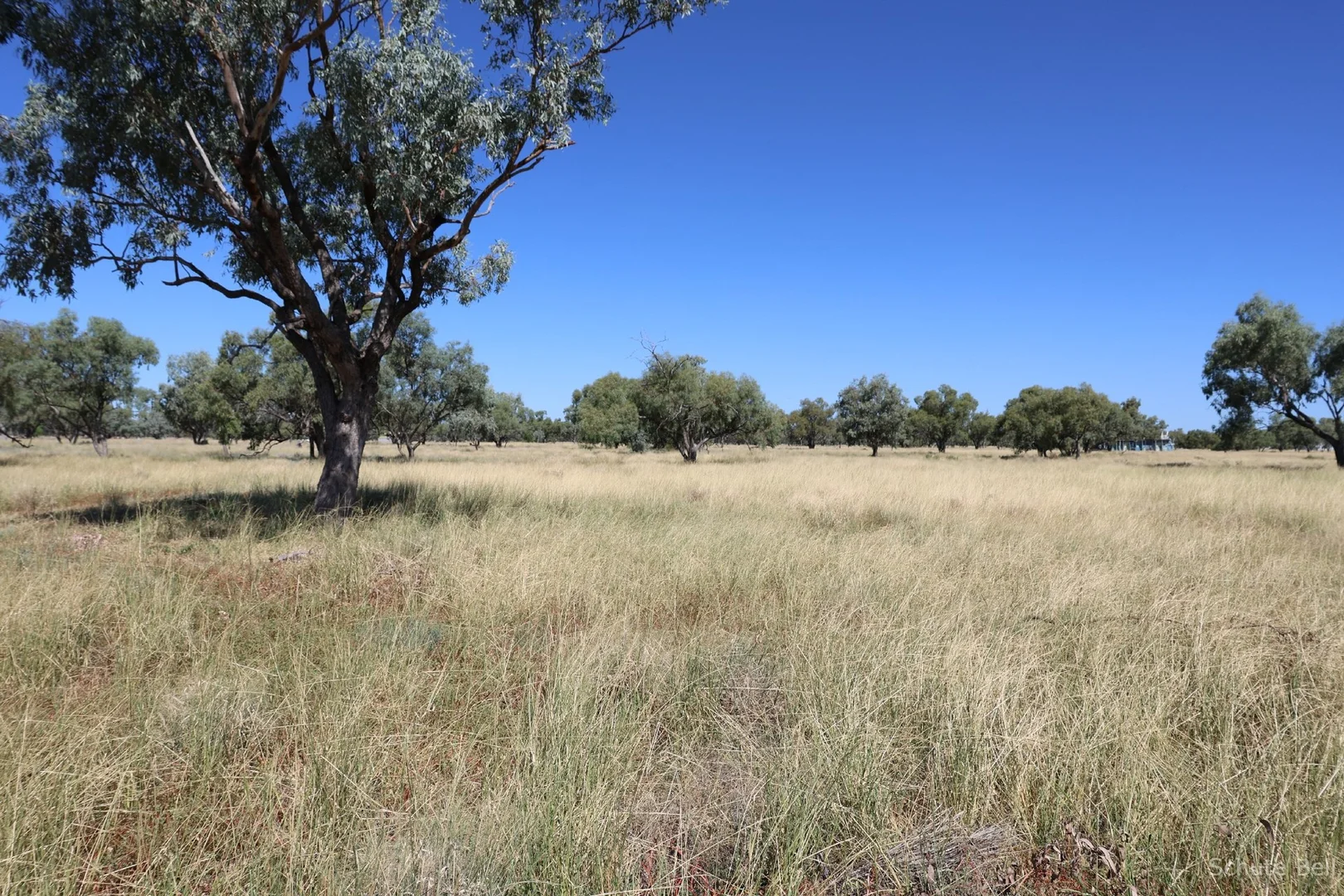 Additional image 19 of 645 Kamilaroi Highway, Bourke NSW 2840