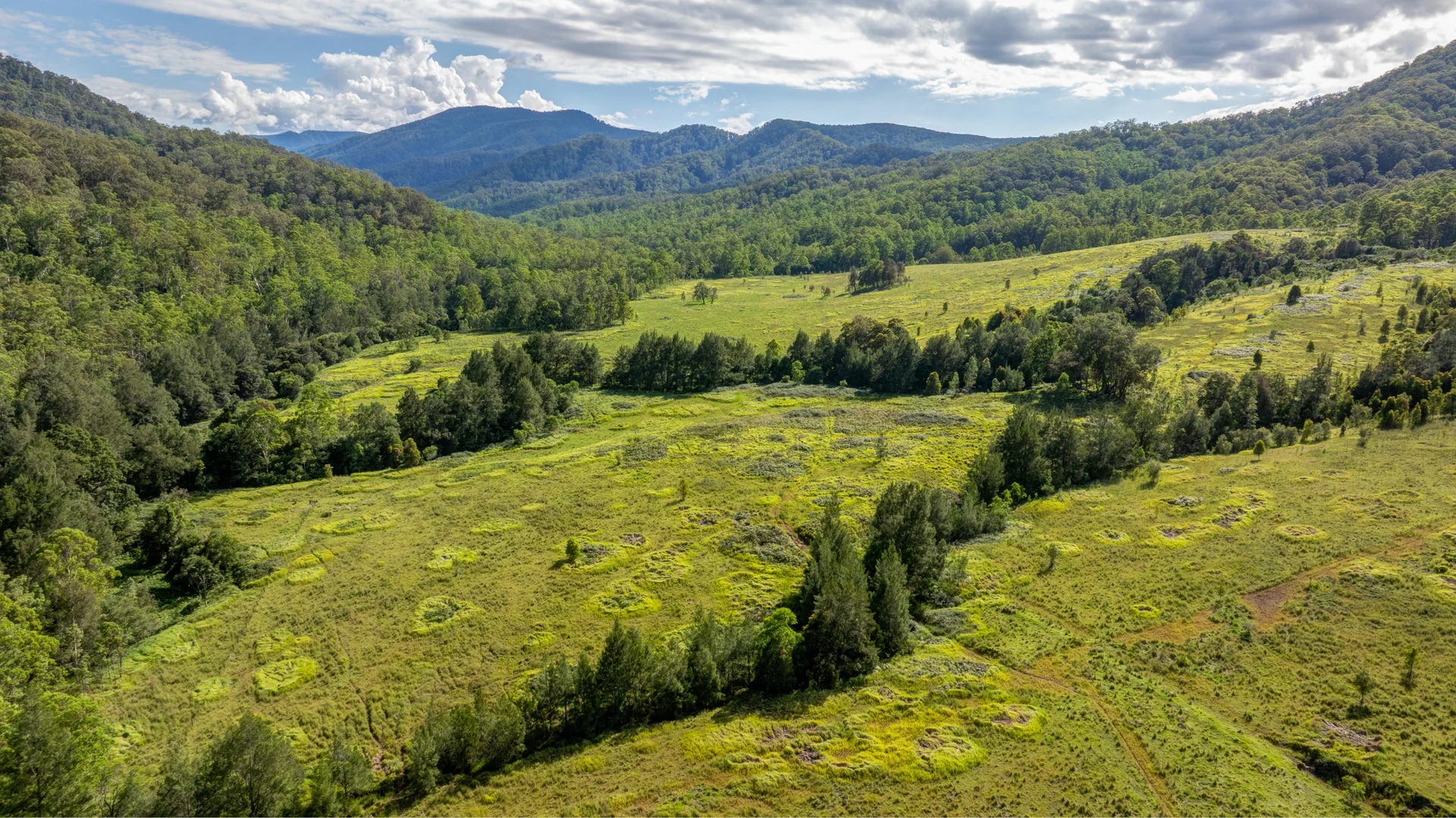 Additional image 5 of 1012 Boonabilla Road, Gresford NSW 2311