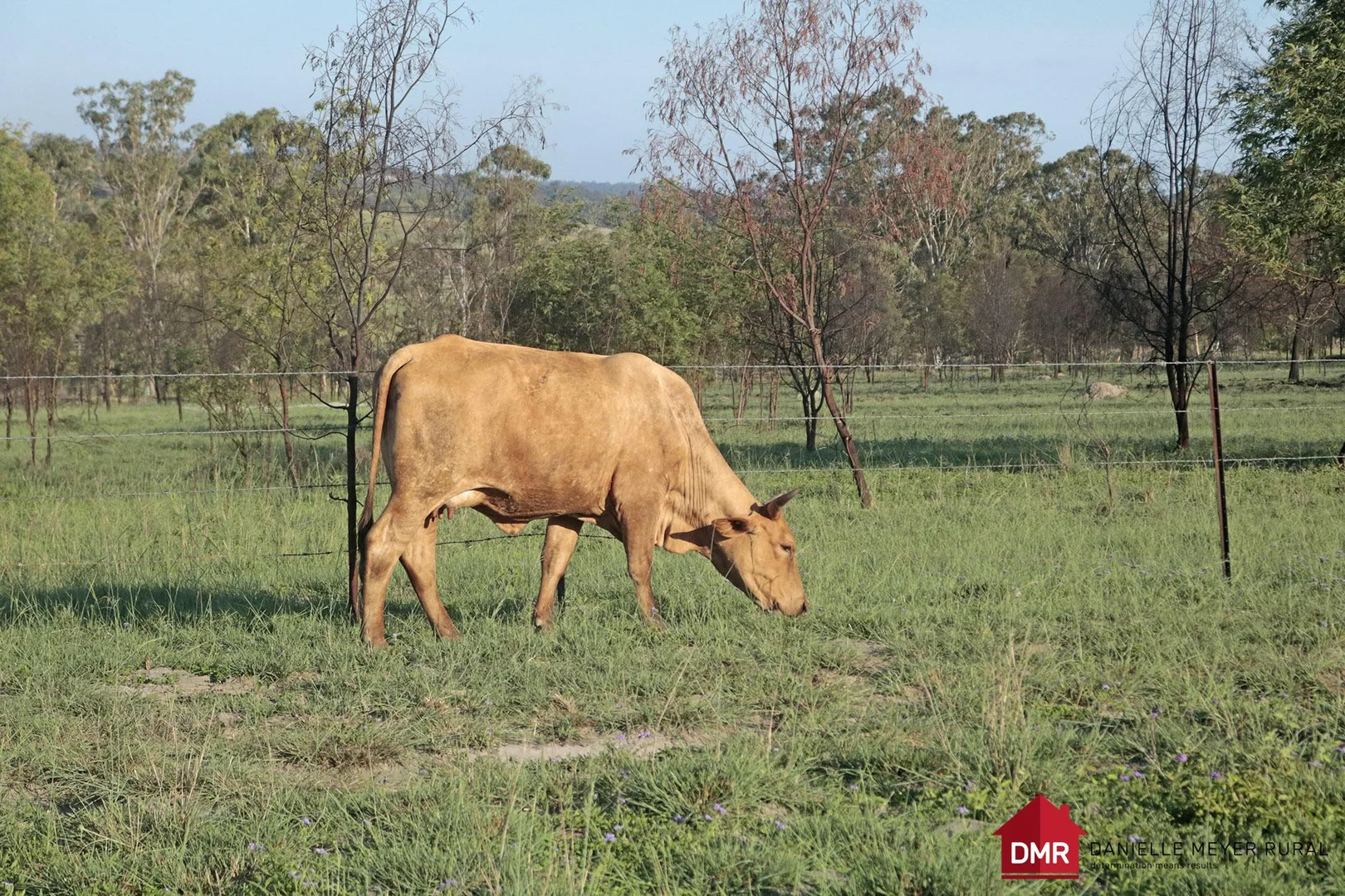 Additional image 34 of 24754 Burnett Highway, Ceratodus QLD 4627