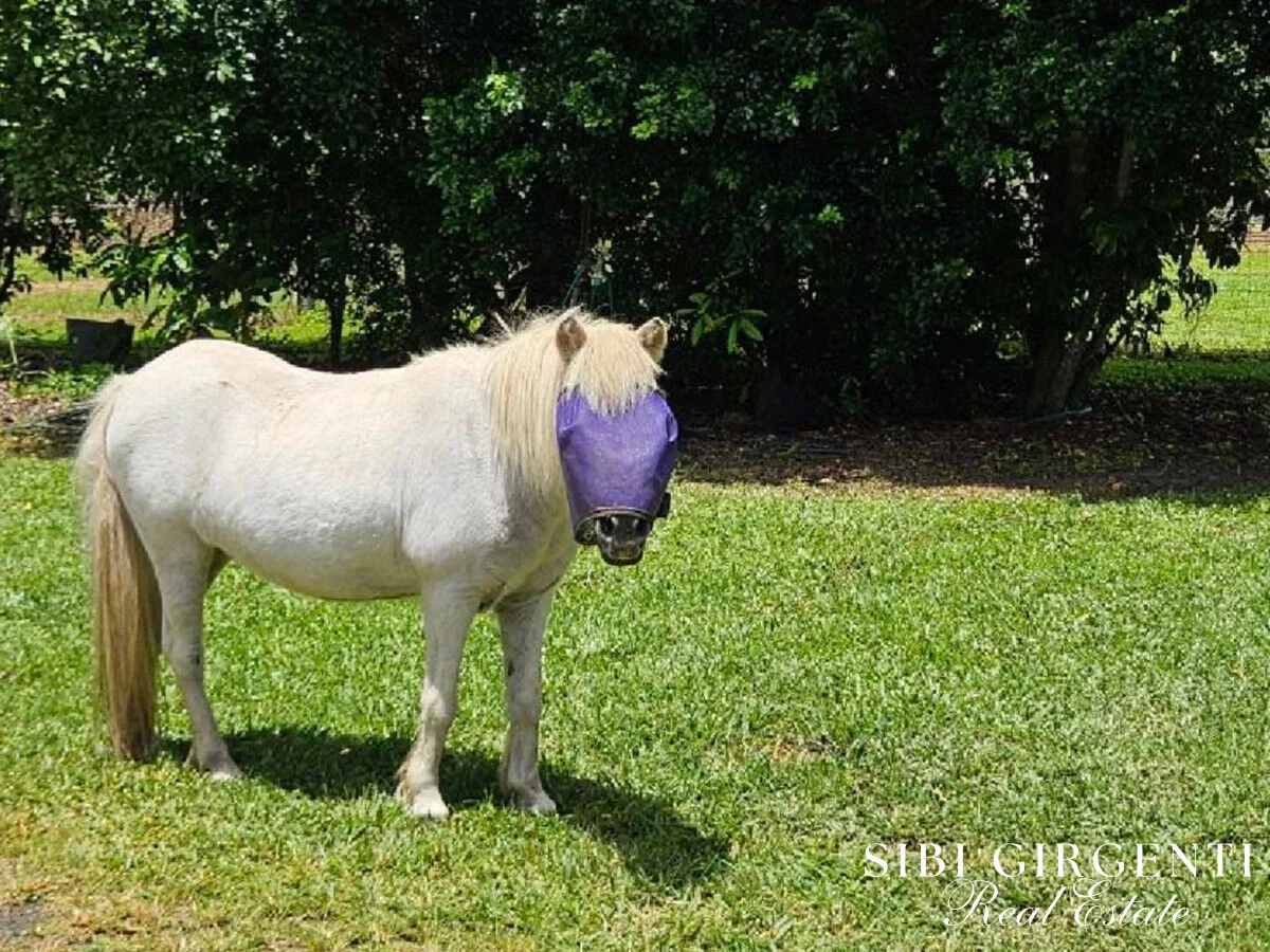 Additional image 36 of 386 Koah Road, Koah QLD 4881