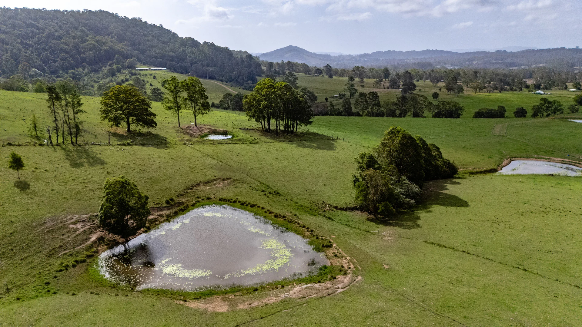 Additional image 30 of 529 Willina Road, Willina NSW 2423