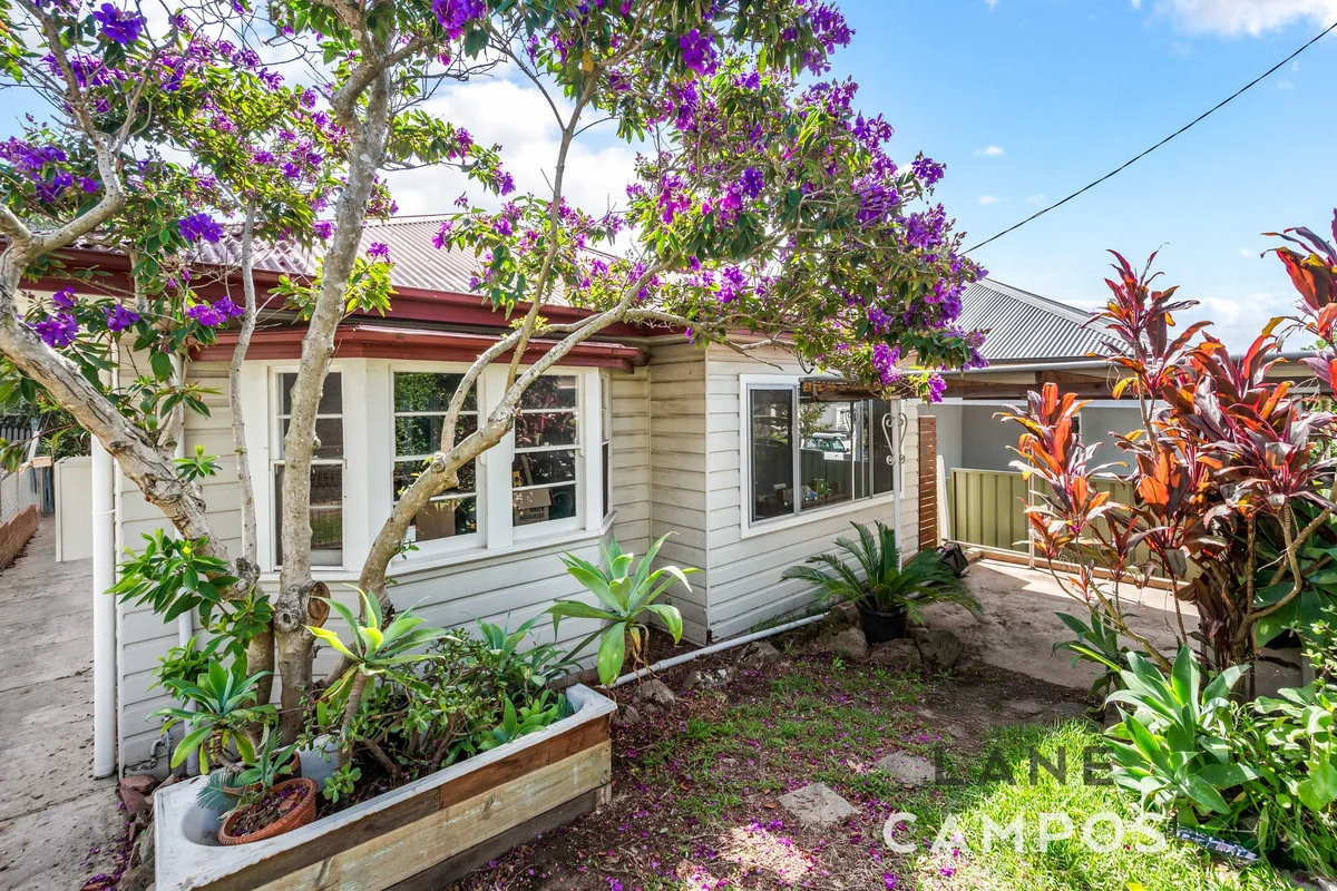 88 Woodstock Street, Mayfield NSW 2304