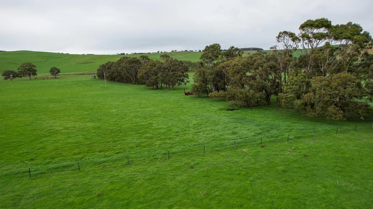 Additional image 13 of 649 Coleraine - Balmoral Road, Wootong Vale VIC 3315
