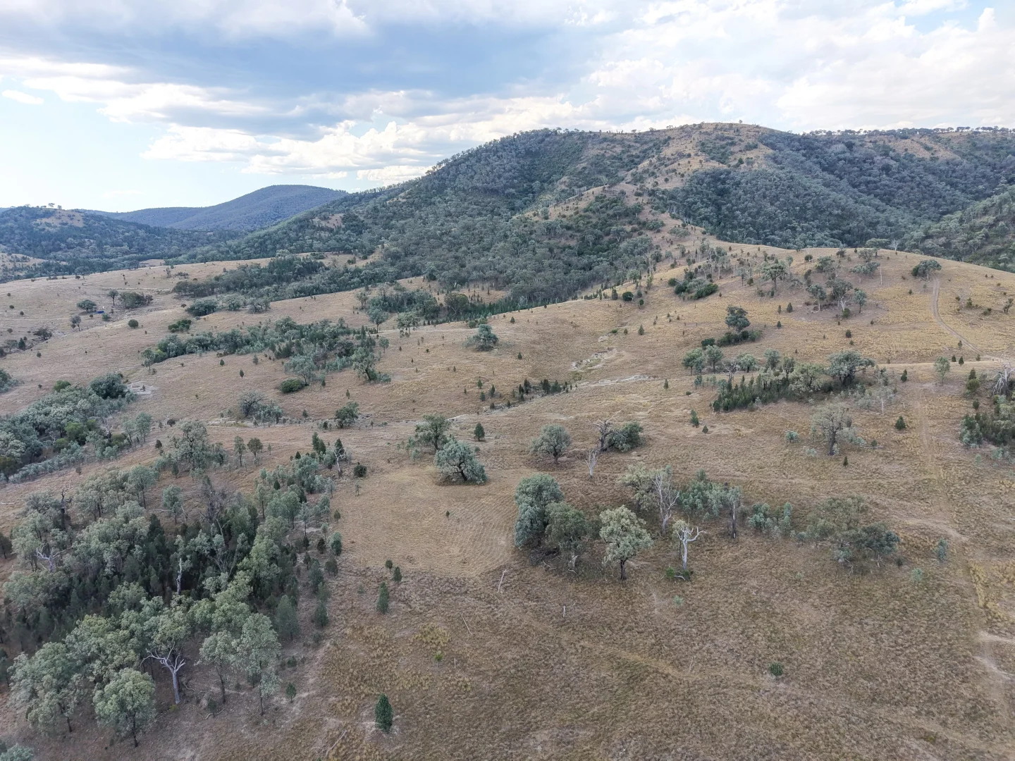 Additional image 11 of Lot 21 Gibraltar Road, Tenterfield NSW 2372