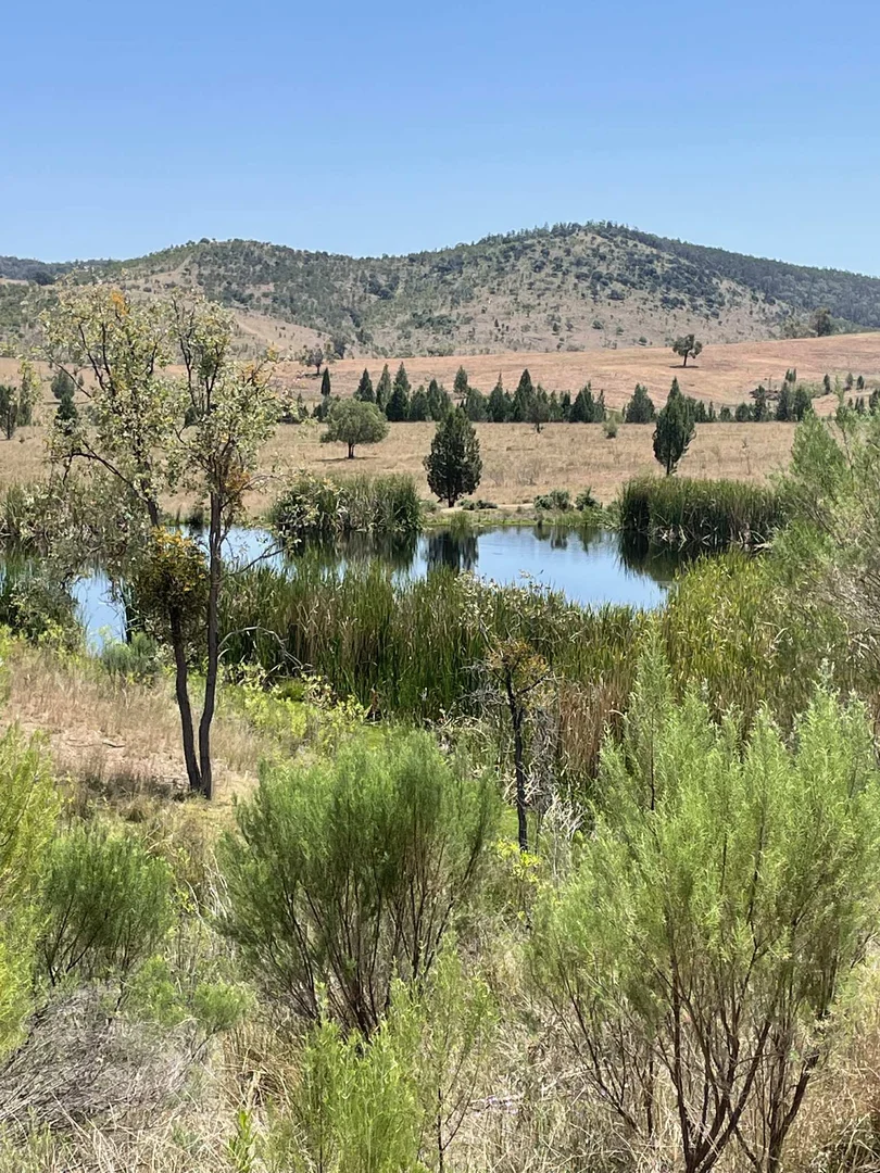 Additional image 8 of Lot 9 Silver Spur Redgate Road, Silver Spur QLD 4385