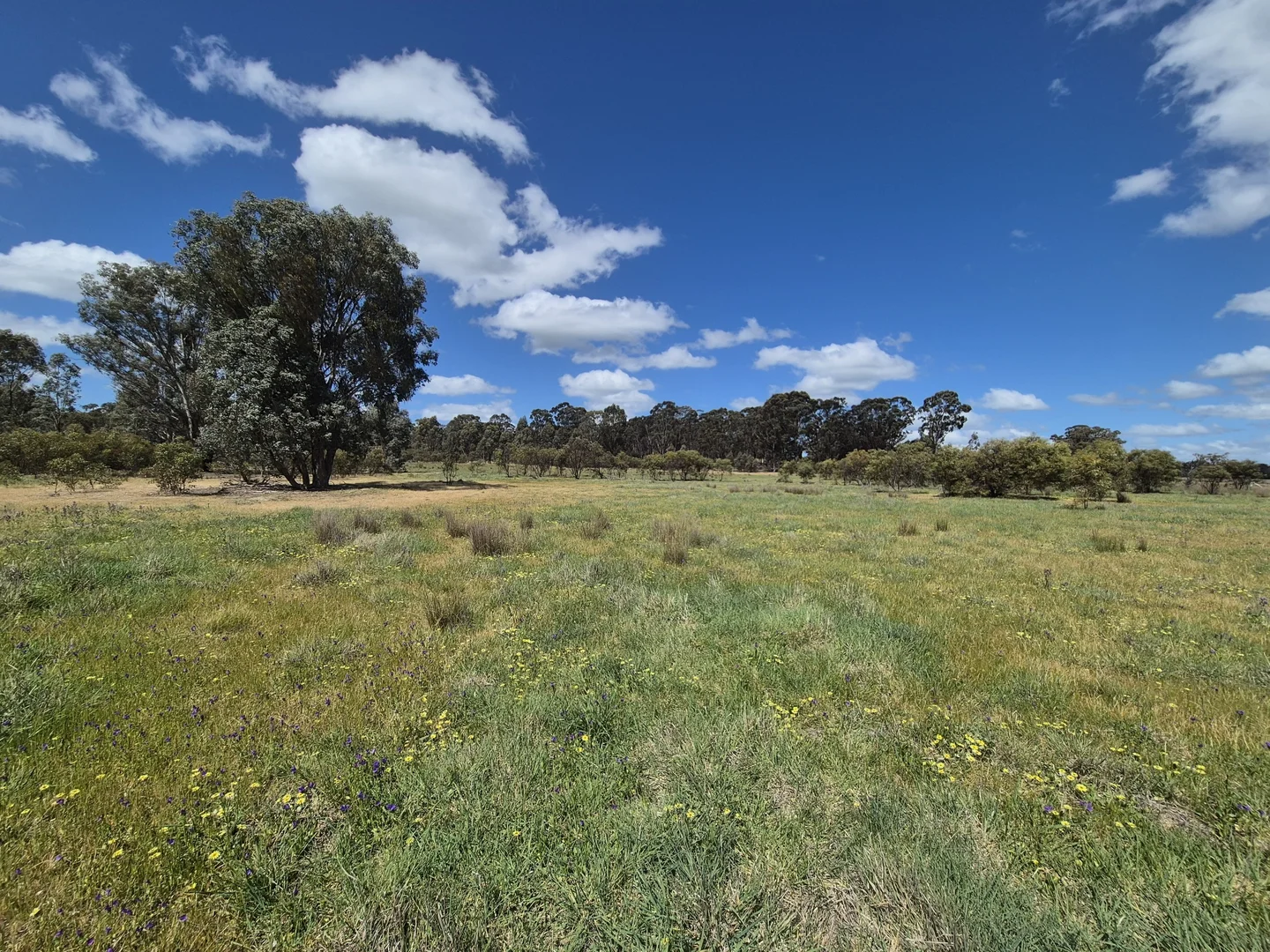 Additional image 13 of Lot 2 Gellibrand Tonks Road, Earlston VIC 3669