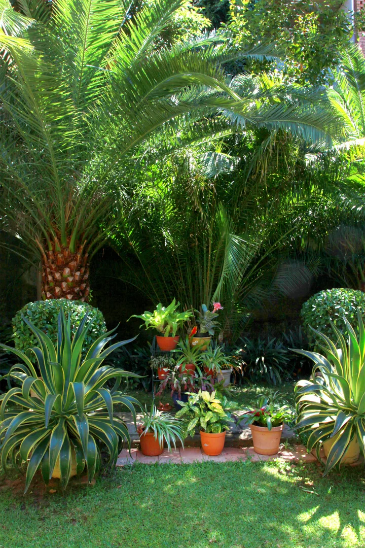 Additional image 3 of 53&54/43 Gladesville Road, Hunters Hill NSW 2110